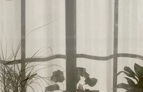 Ombres de plantes sur un rideau clair