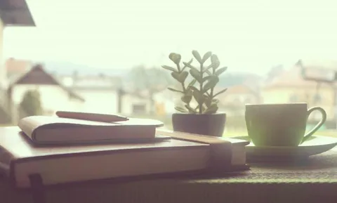 Carnet, tasse et petite plante sur un rebord de fenêtre